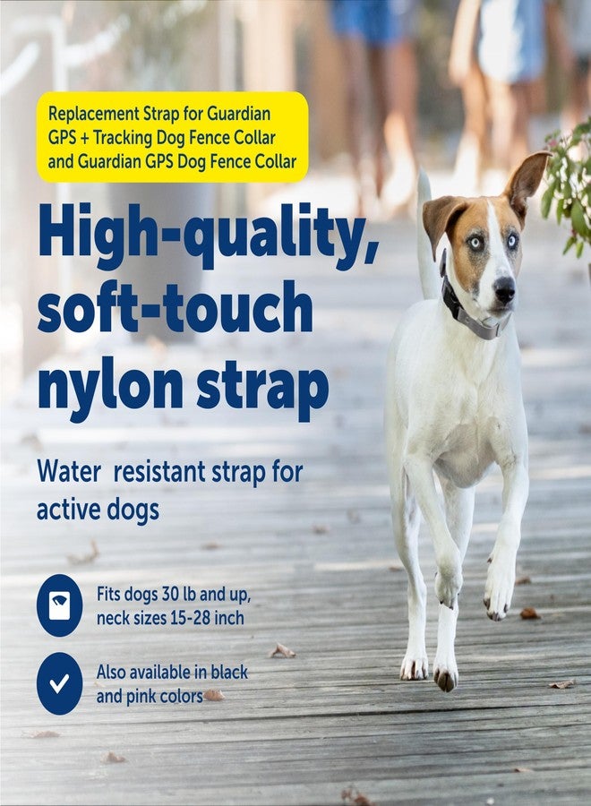 بيت سيف حزام بديل من PetSafe لطوق تتبع الكلاب Guardian GPS + وطوق تتبع الكلاب Guardian GPS - مصنوع من مادة ناعمة الملمس - مقاوم للماء - قابل للتعديل - تصميم متين - رمادي - Image 2